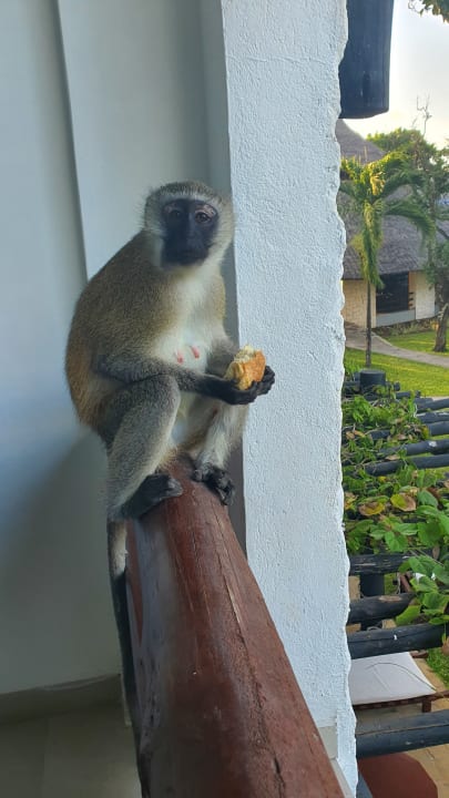 Sonstiges Hotel Southern Palms Beach Resort