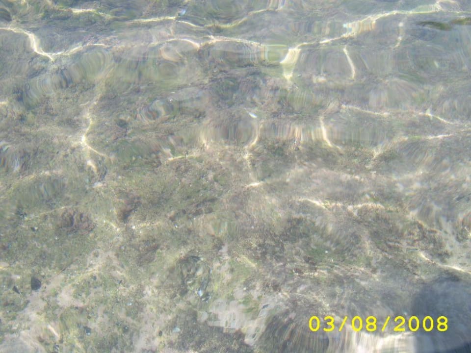 Tolles Wasser Hotel Bellevue - Liburnia