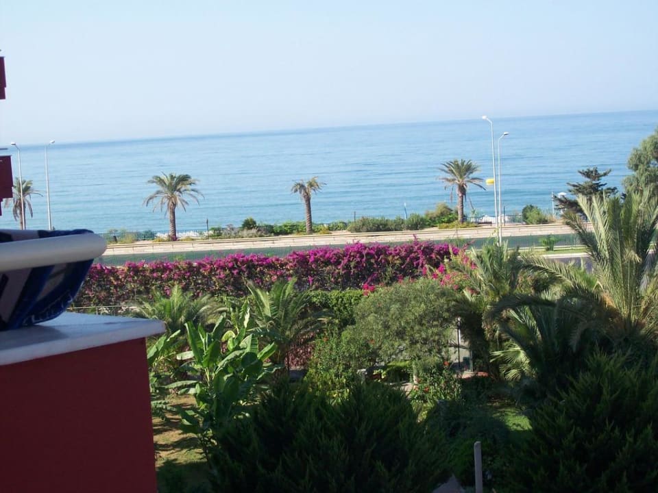 Toller Blick Aydinbey Gold Dreams