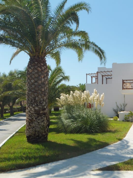 Sehr gepflegter Garten Lagas Aegean Village