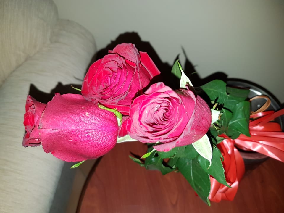 Zimmer Berjaya Beau Vallon Bay Resort & Casino