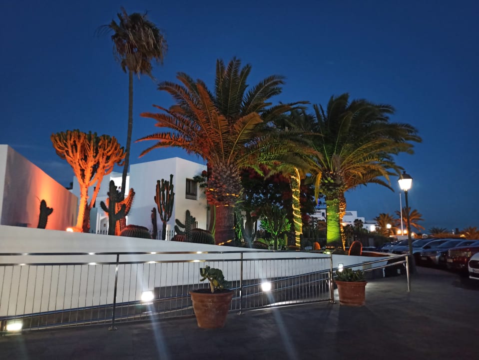 Gartenanlage Hotel Floresta