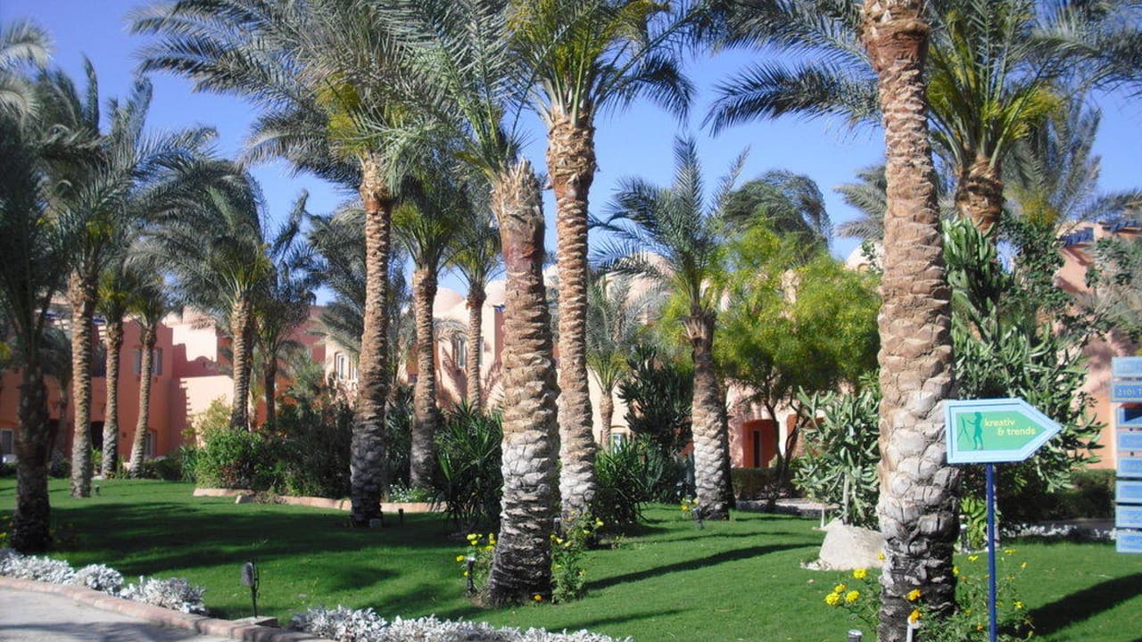Gartenanlage Makadi Oasis Jaz Makadi Oasis Resort