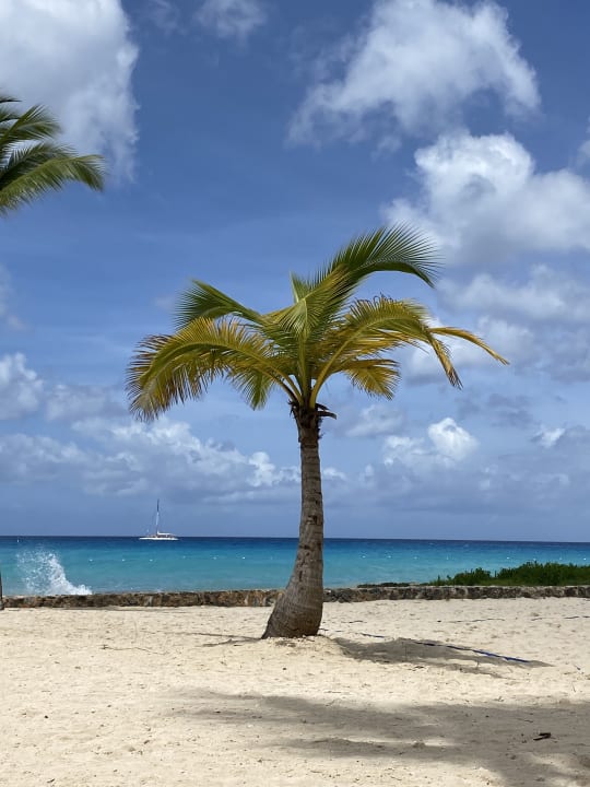 Strand Hotel Viva Dominicus Beach by Wyndham - All Inclusive Resort