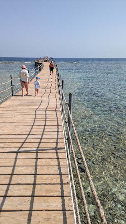 Strand Pickalbatros Palace Hotel-Port Ghalib