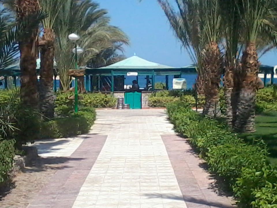 Strandbar Menaville Safaga