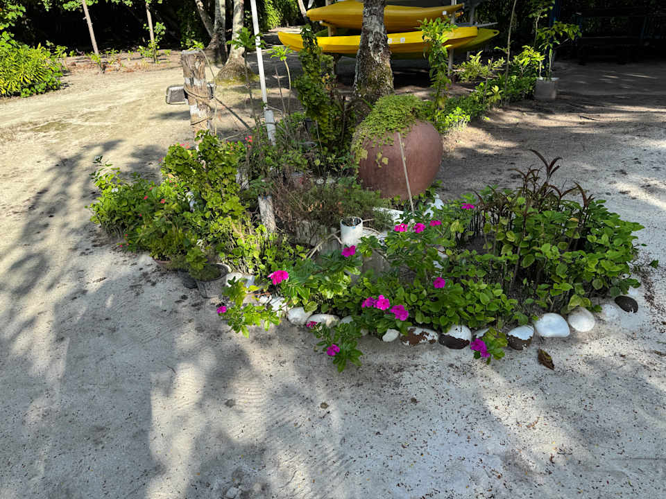 Gartenanlage Filitheyo Island Resort