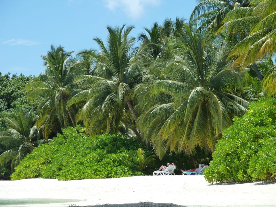 Strand bei der Dhonibar Kuramathi Maldives