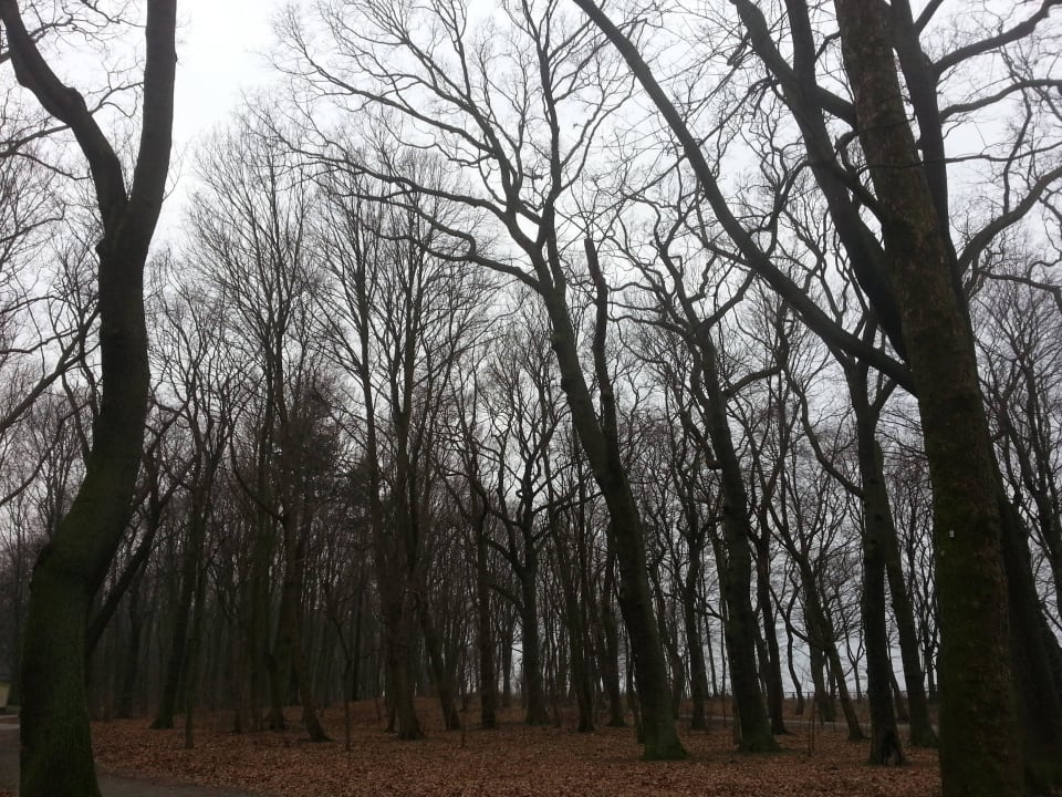 Strand San Medical SPA