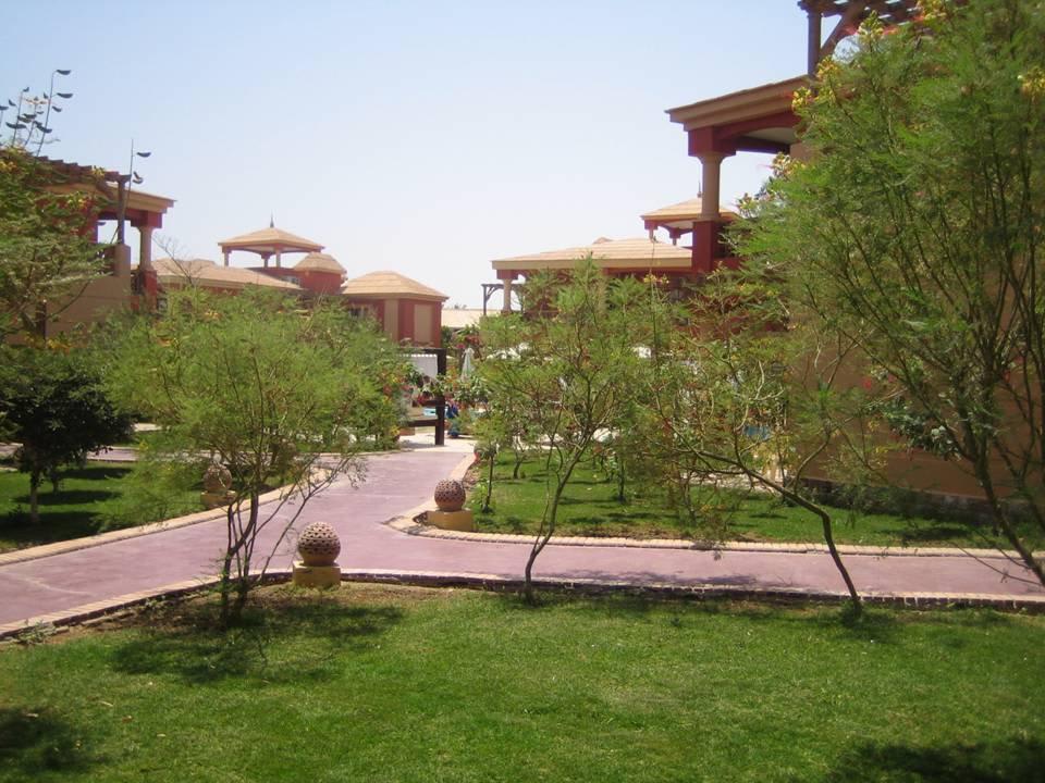 Ausblick durch die Bäume auf den Pool Pickalbatros Alf Leila Wa Leila Resort - Neverland Hurghada