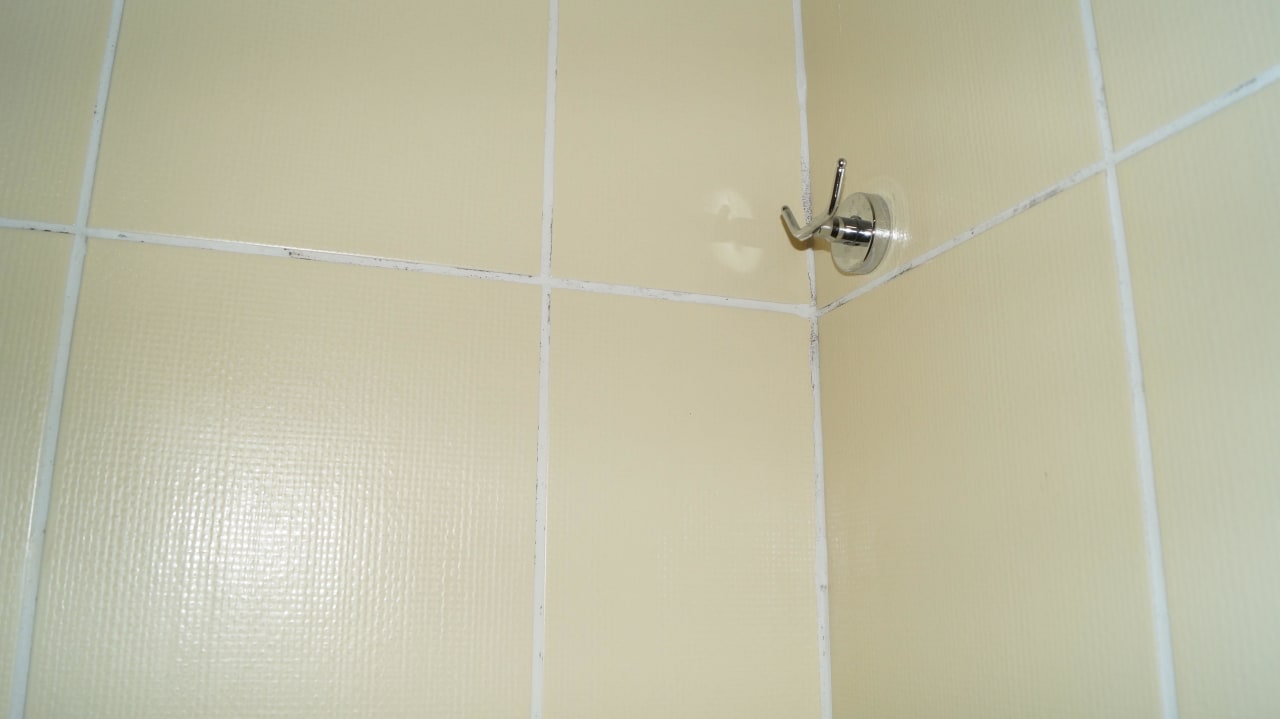 Schimmel auf den Fliesen Hotel Orfeus Park