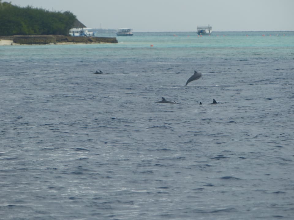 Sport & Freizeit Adaaran Select Hudhuran Fushi - Premium All Inclusive