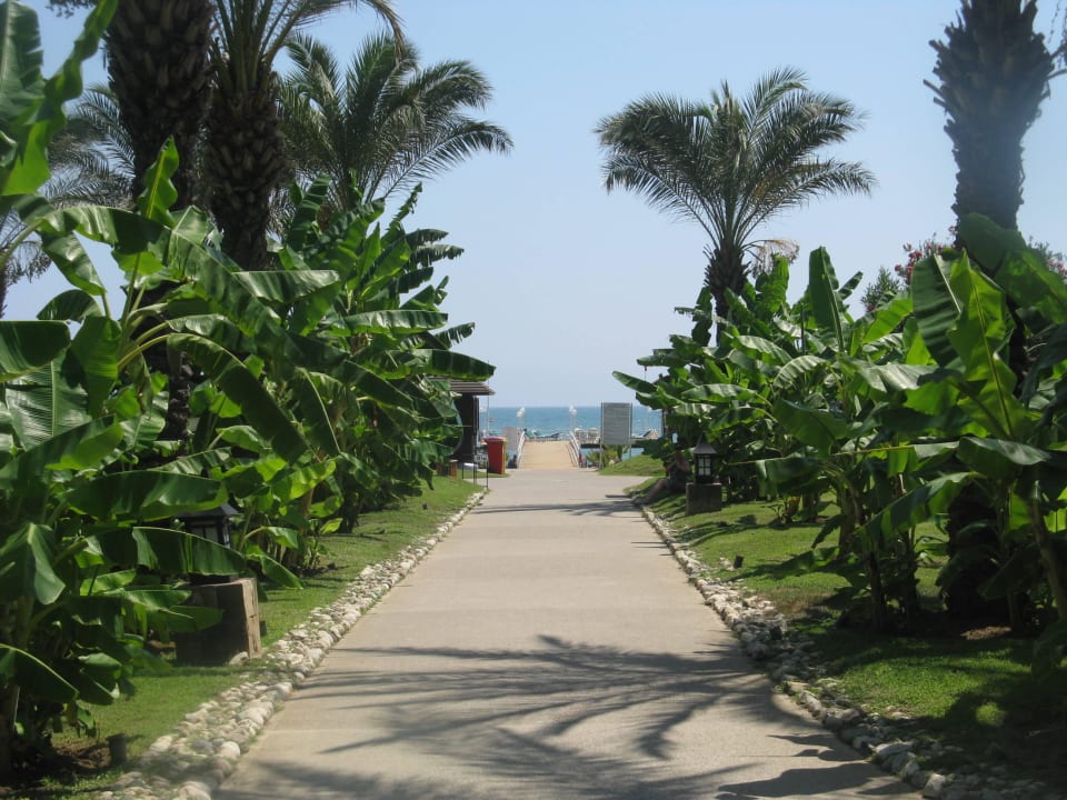 Weg zum Strand IC Hotels Green Palace