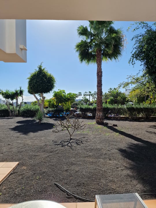 Zimmer allsun App.-Hotel Albatros