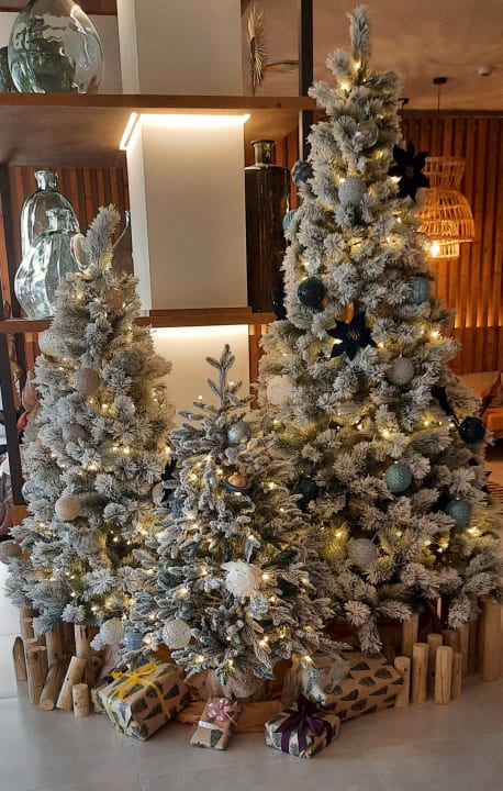 Lobby Corallium Dunamar by Lopesan Hotels