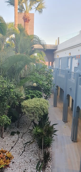 Gartenanlage Adrián Hoteles Colón Guanahaní - Adults only