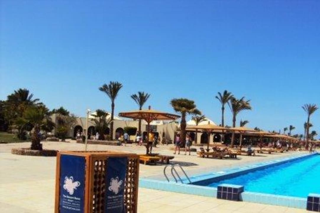 Sport swimming pool Desert Rose