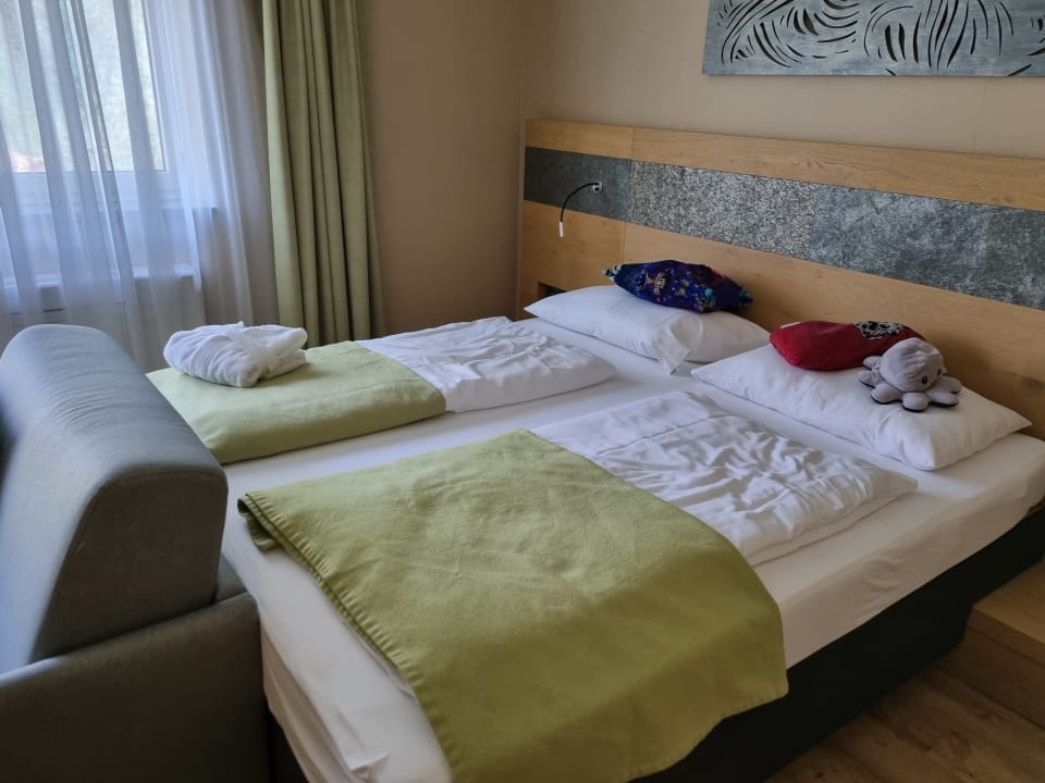 Zimmer AIGO welcome family