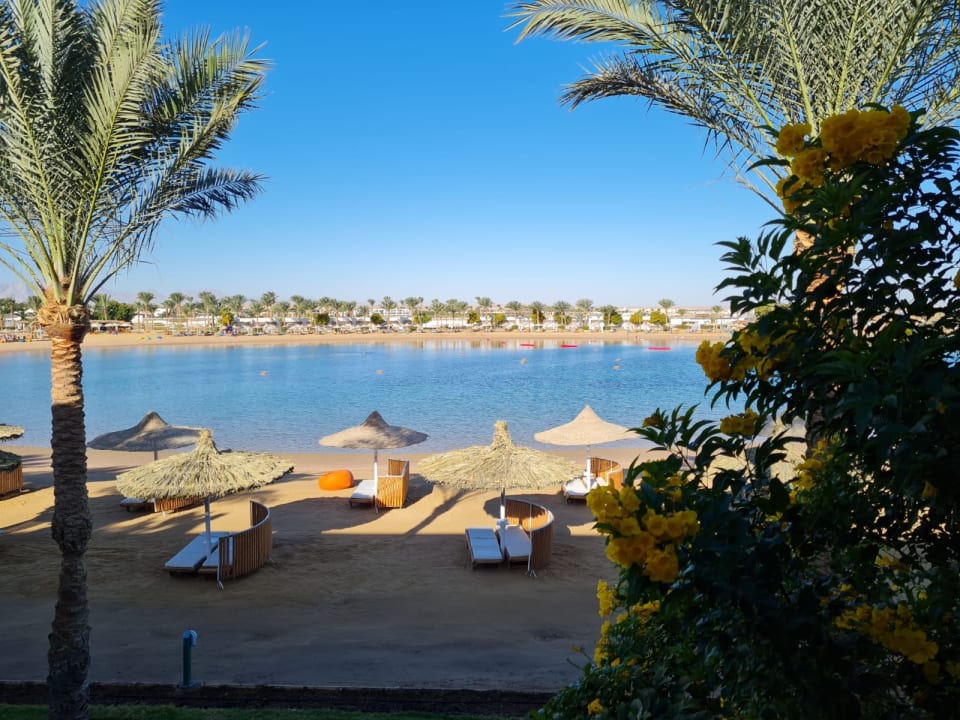 Ausblick Desert Rose