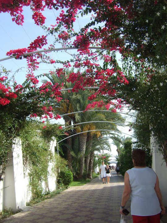 Garntenanlage El Mouradi Club Kantaoui