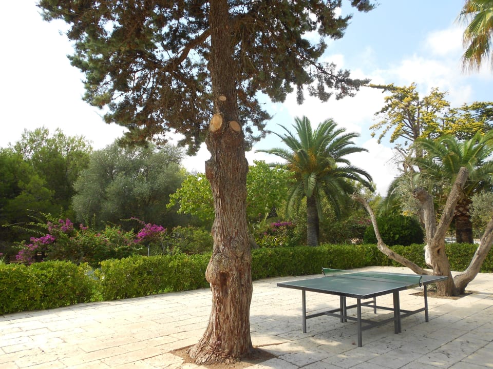 Bereich hinter der Bühne Millor Sol