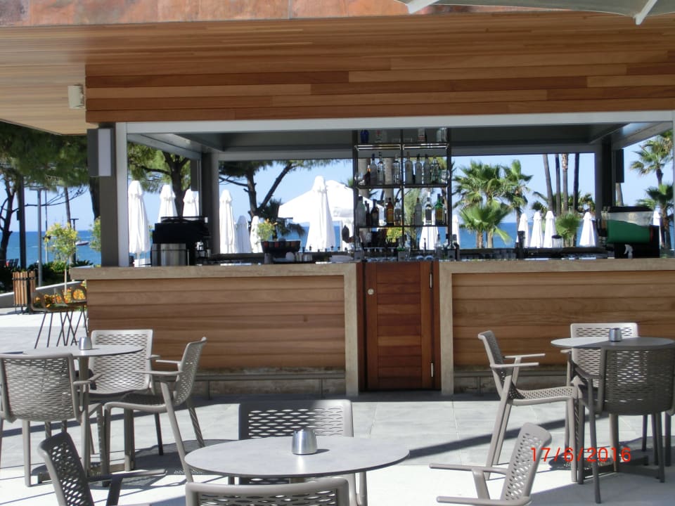 Poolbar Acanthus Cennet Barut Collection