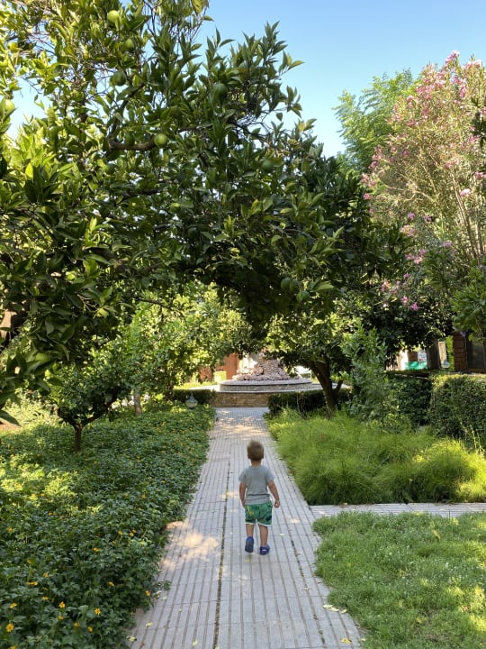 Gartenanlage Can Garden Beach