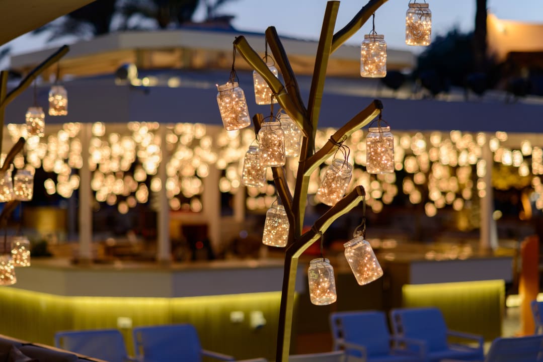 Sonstiges Desert Rose