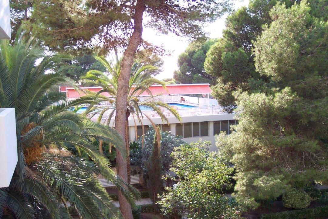 Dachpool Hotel Best Delta