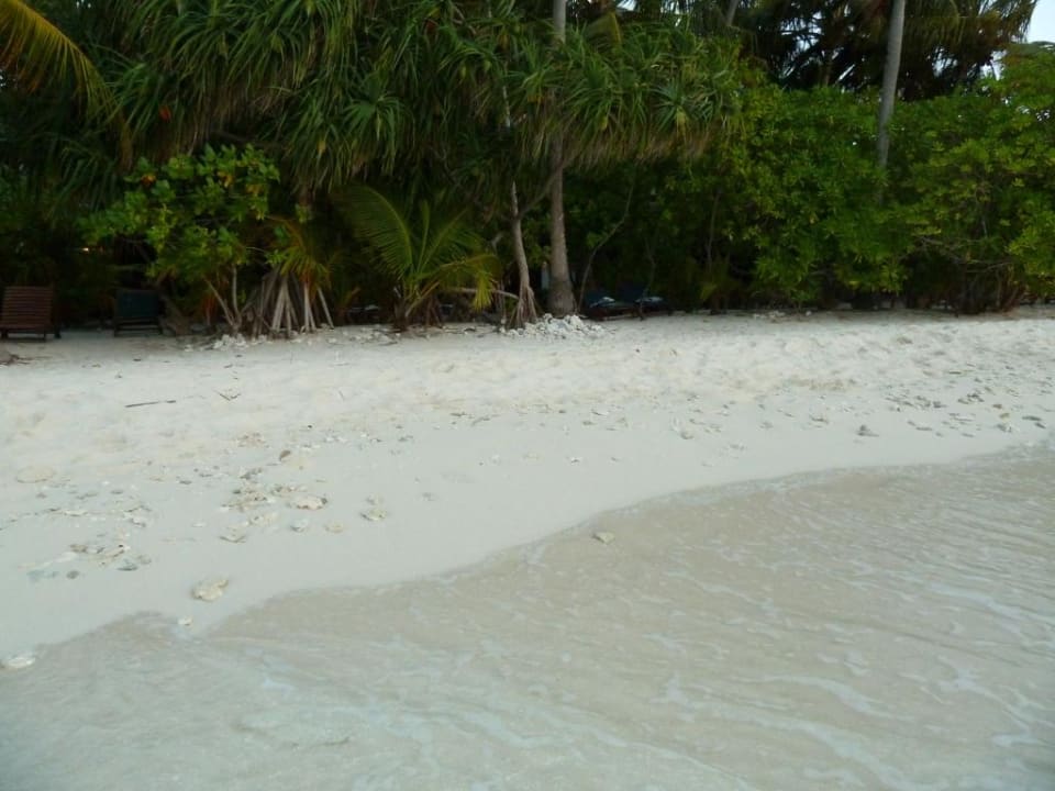 Korallenschutt am Strand Filitheyo Island Resort