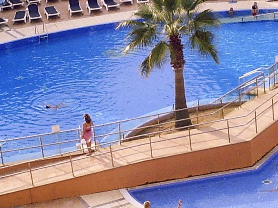 der Pool Aparthotel Can Picafort Palace