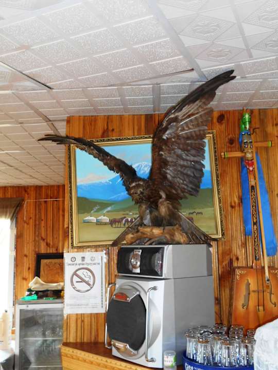 Dekoration im Restaurant Mongol Altai Tourist Camp