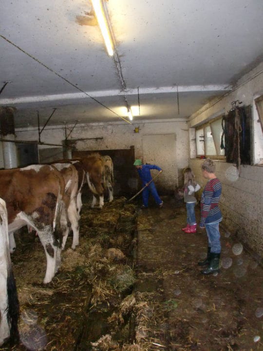 Stall Pension-Biobauernhof Hagenhof