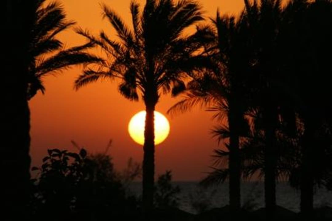 Sonnenaufgang Grand Makadi
