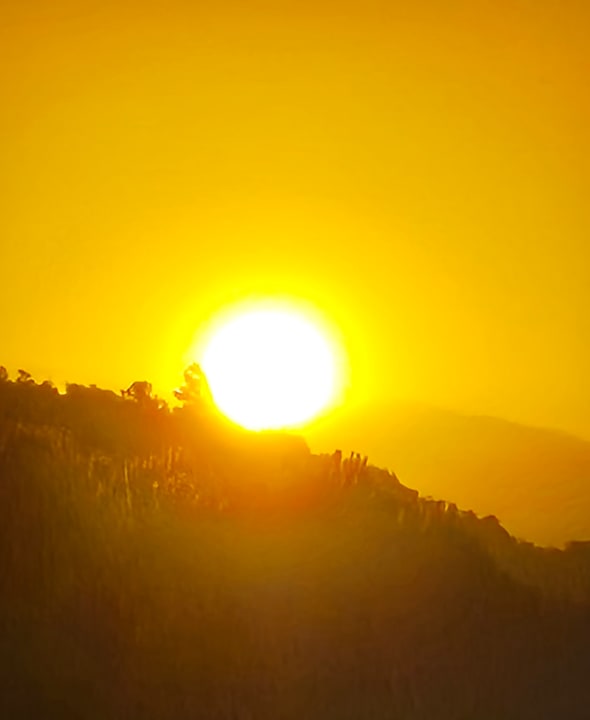 Sonstiges PALEMON Resort& Spa