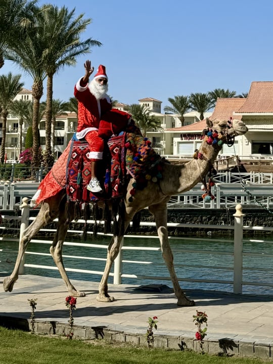 Gartenanlage Pickalbatros Dana Beach Resort - Hurghada