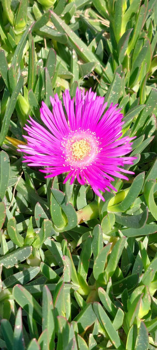 Strand Seaden Quality Resort & Spa