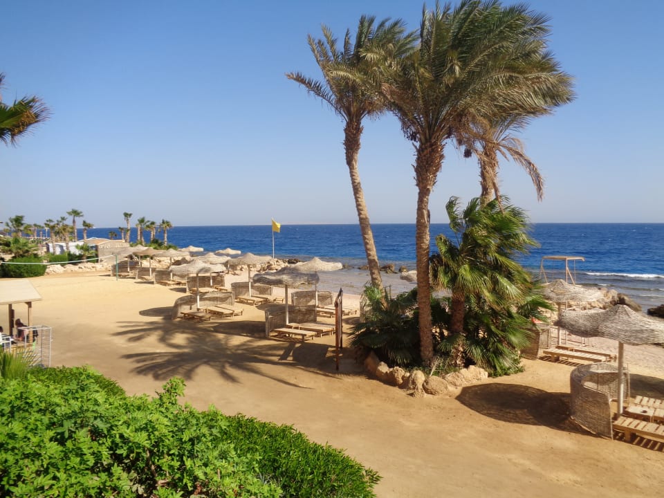 Strand Pickalbatros Citadel Resort