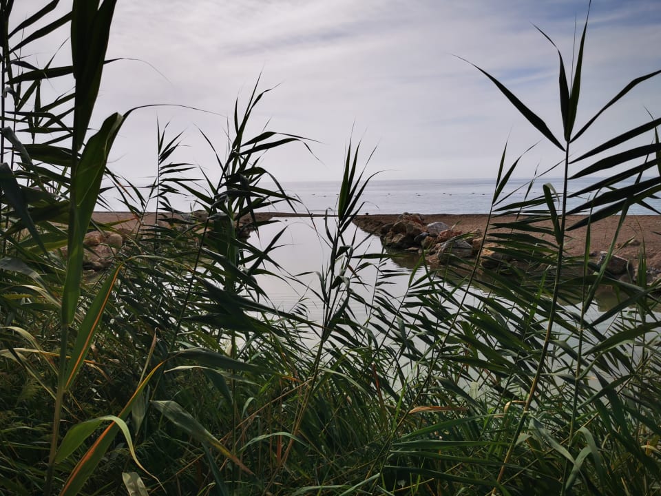 Strand Starlight Resort Hotel