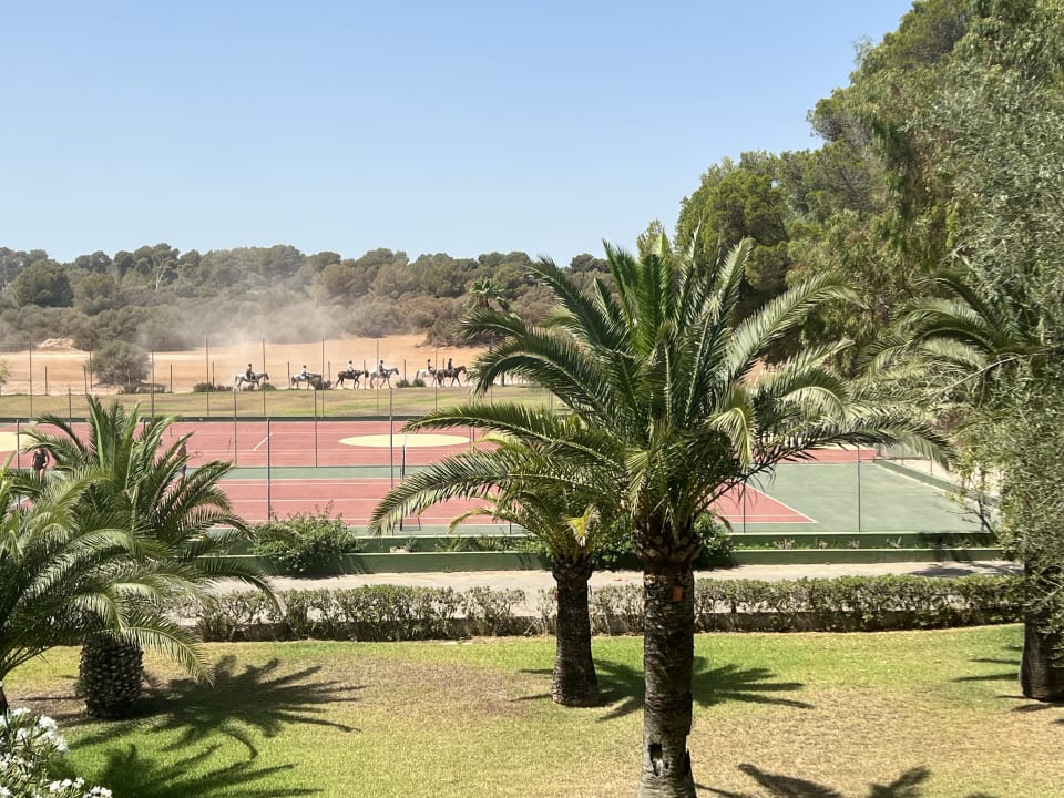 Sonstiges Hotel Exagon Park