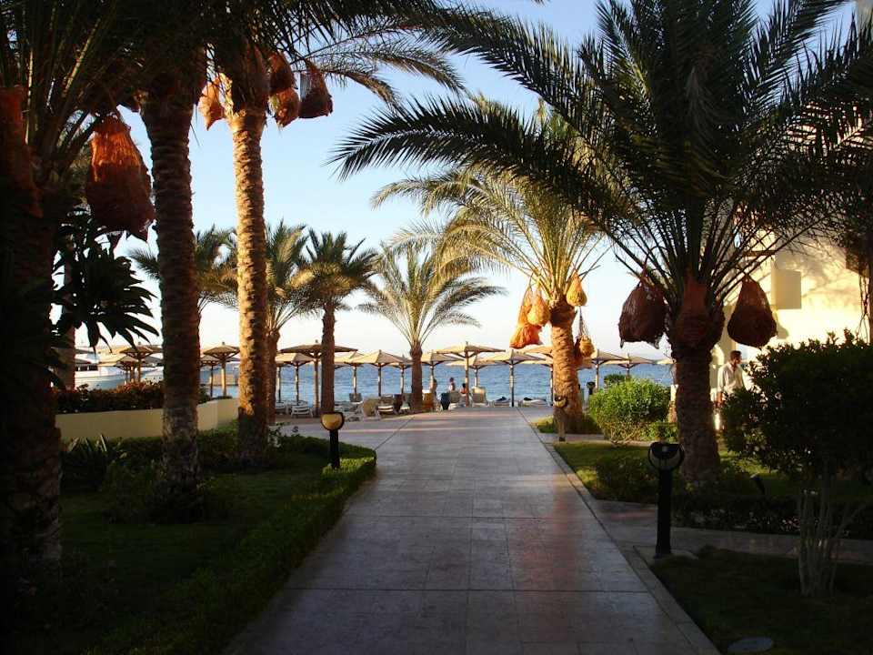 Der kurze Weg zum schönen Strand Palm Beach Resort