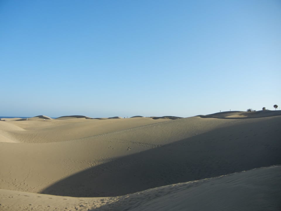 Dünen von Maspalomas Hotel Riu Palace Palmeras