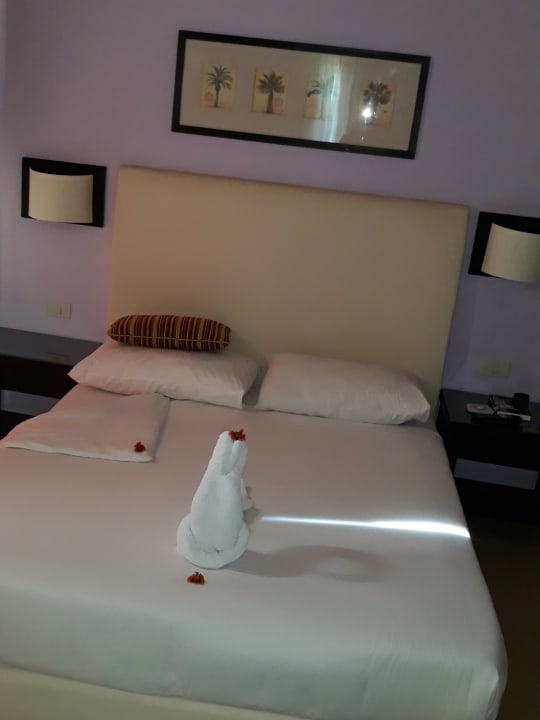 Zimmer JAZ Neo Saraya Palms