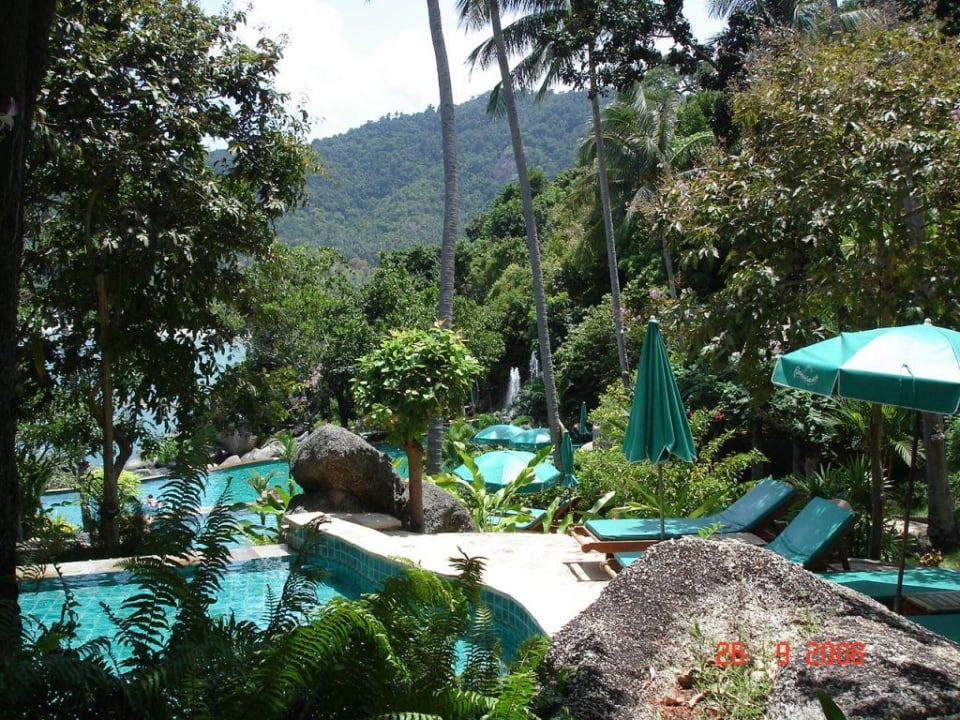 Pool Panviman Resort Koh Phangan