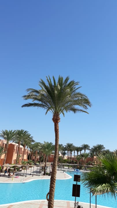 Pool Jaz Makadi Oasis Resort