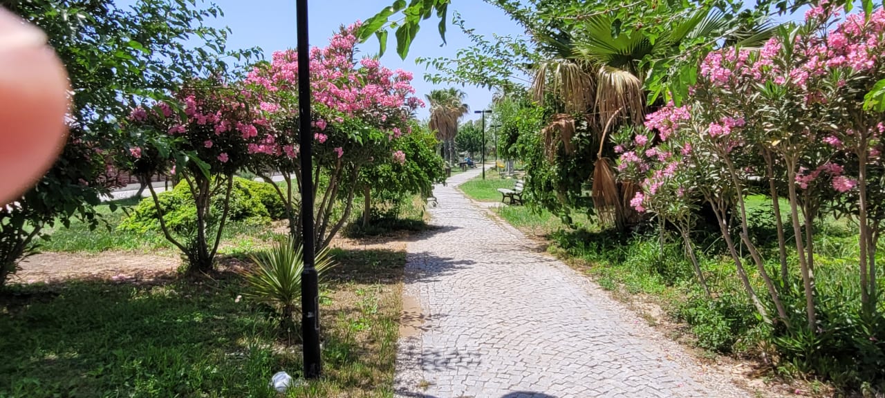 Außenansicht Aydinbey Kings Palace & Spa