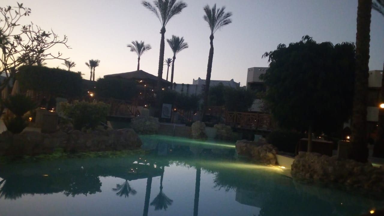 Pool Ghazala Gardens