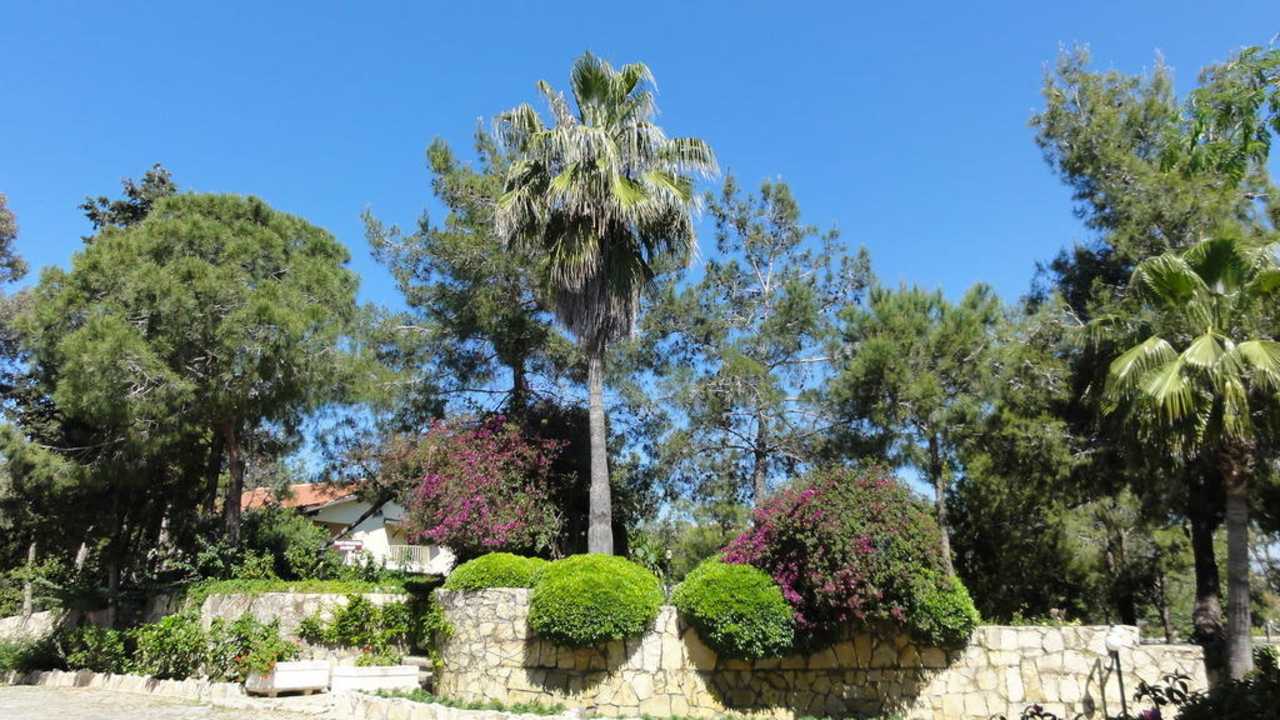 Blick vom Hoteleingang weg Kaya Side