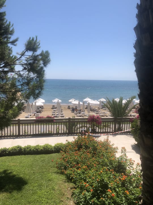 Strand PALOMA Perissia