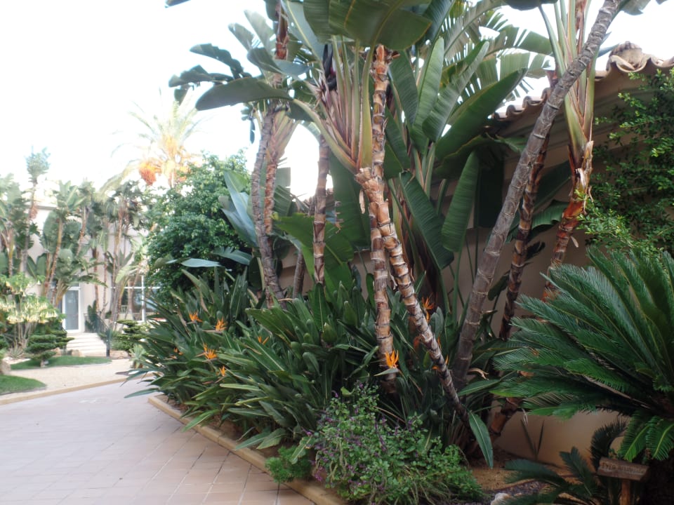 Gartenanlage PortoBay Blue Ocean